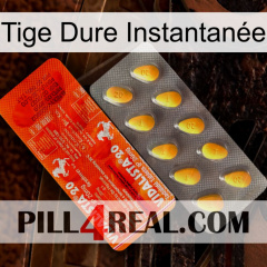 Tige Dure Instantanée new01